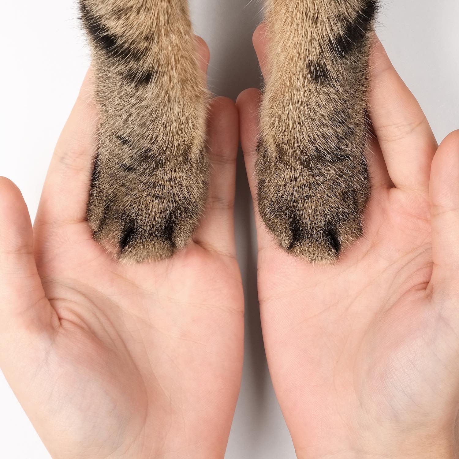 Produits vétérinaires-pharmaciedelasante-maisonsalfort